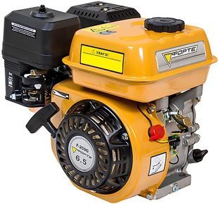 Двигун бензиновий FORTE F200G (29962) 728191 фото