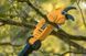 Секатор аккумуляторный DeWALT DCMPP569P1 732664 фото 6