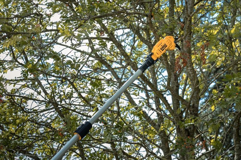 Секатор аккумуляторный DeWALT DCMPP569P1 732664 фото