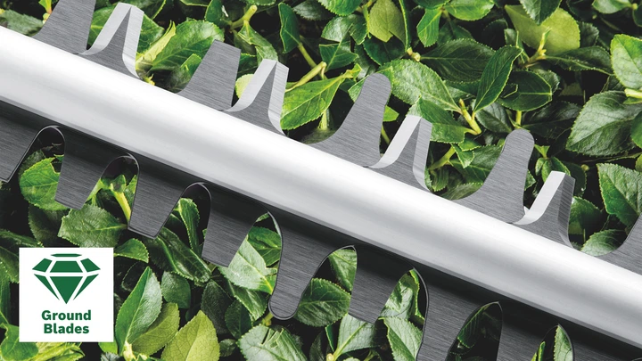 Кусторез электрический Bosch UniversalHedgeCut 50 (06008C0501) 732554 фото