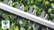 Кусторез электрический Bosch UniversalHedgeCut 50 (06008C0501) 732554 фото 9