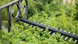 Кусторез электрический Bosch UniversalHedgeCut 60 (06008C0703) 732555 фото 3