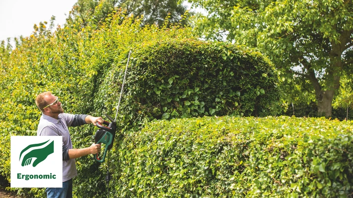 Кусторез электрический Bosch AdvancedHedgeCut 65 (06008C0801) 732556 фото