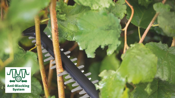 Кусторез электрический Bosch AdvancedHedgeCut 65 (06008C0801) 732556 фото