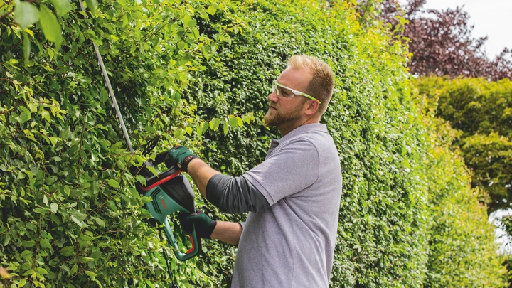 Кусторез электрический Bosch AdvancedHedgeCut 65 (06008C0801) 732556 фото