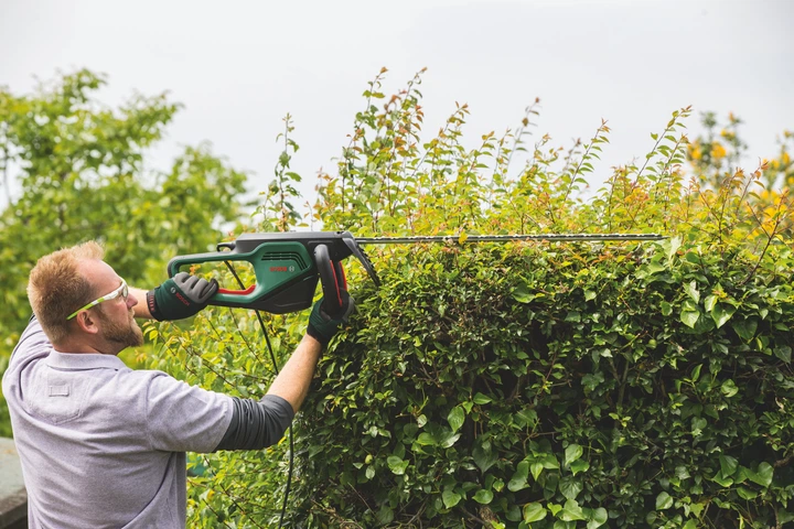 Кусторез электрический Bosch AdvancedHedgeCut 65 (06008C0801) 732556 фото