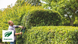 Кусторез электрический Bosch AdvancedHedgeCut 65 (06008C0801) 732556 фото 8