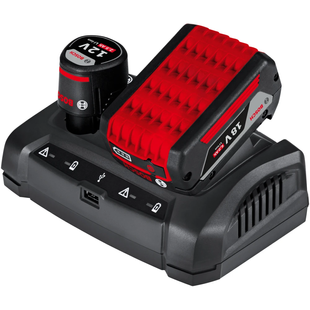 Зарядний пристрій Bosch GAX 18V-30 Professional (1600A011A9) 726289 фото