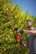 Кусторез электрический BLACK+DECKER BEHTS551 726747 фото 6