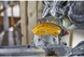 Пила торцовочная бесщеточная аккумуляторная DeWALT DCS727T2 727202 фото 10
