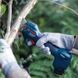 Акумуляторний секатор Bosch Pro Pruner Kit 2 АКБ та ЗП (06019K1021) 732536 фото 6