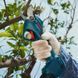Акумуляторний секатор Bosch Pro Pruner Kit 2 АКБ та ЗП (06019K1021) 732536 фото 9
