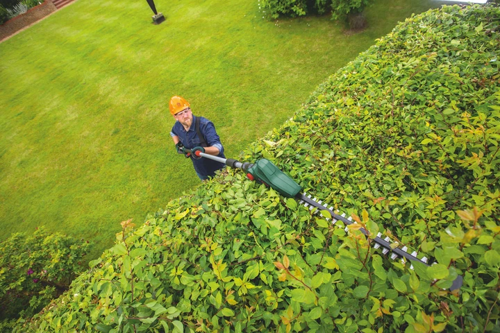 Кусторез аккумуляторный Bosch UniversalHedgePole 18 (06008B3000) 732563 фото