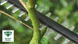 Кусторез аккумуляторный Bosch UniversalHedgePole 18 (06008B3000) 732563 фото 4