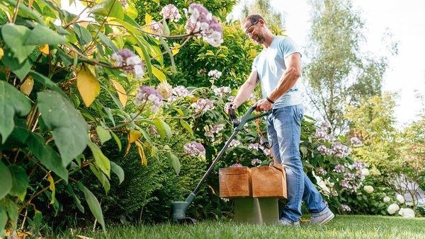Тример електричний Bosch EasyGrassCut 23 (06008C1H01) 726180 фото