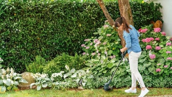 Тример електричний Bosch EasyGrassCut 23 (06008C1H01) 726180 фото