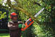 Пила цепная электрическая BLACK+DECKER CS2245 726761 фото 4